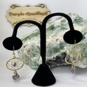 Dream Catcher Earring's